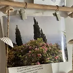 La Casina Fra Gli Oleandri * Zanego