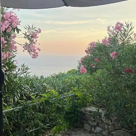 La Casina Fra Gli Oleandri *