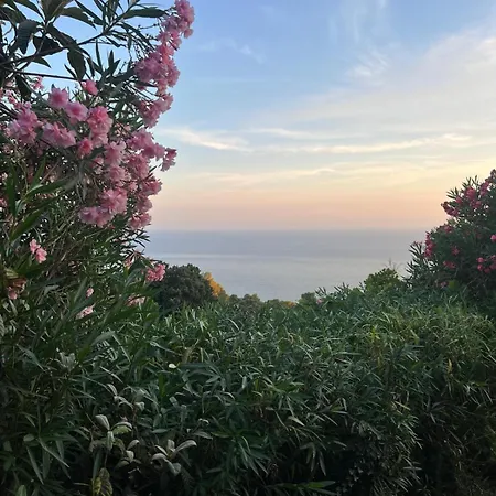 公寓 La Casina Fra Gli Oleandri *