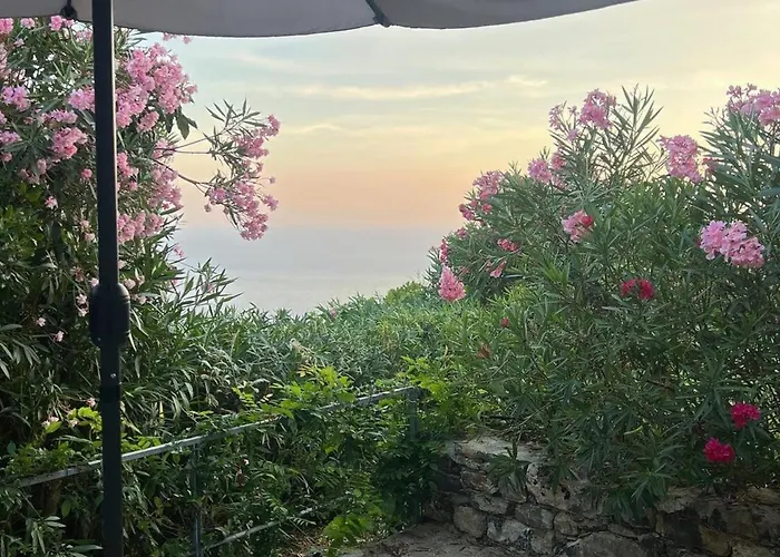 La Casina Fra Gli Oleandri *