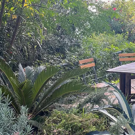 La Casina Fra Gli Oleandri Apartment Zanego