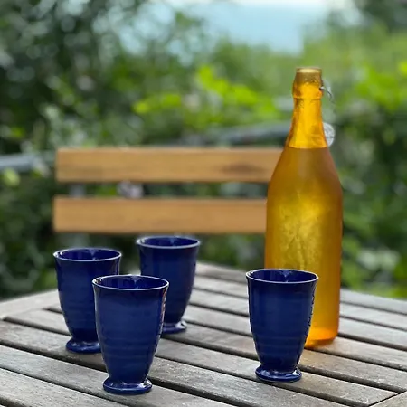 La Casina Fra Gli Oleandri 아파트 Zanego