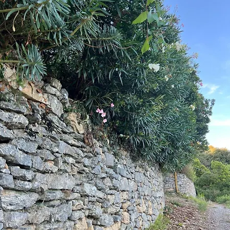 דירה La Casina Fra Gli Oleandri Zanego
