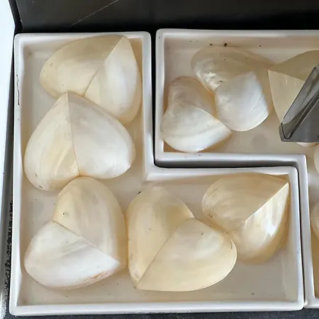 公寓 La Casina Fra Gli Oleandri