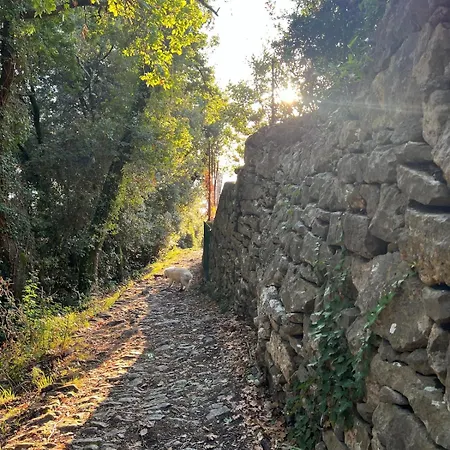 La Casina Fra Gli Oleandri Apartment *