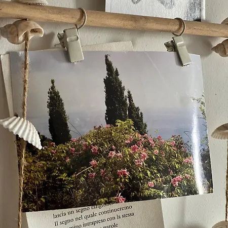 La Casina Fra Gli Oleandri * Zanego