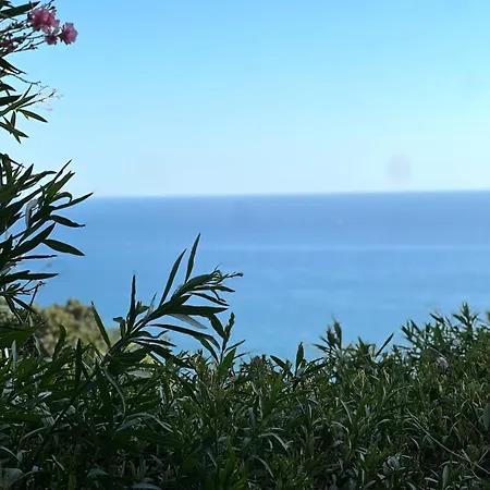 La Casina Fra Gli Oleandri Apartment *