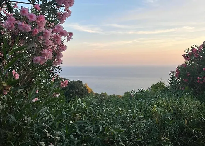 Apartament La Casina Fra Gli Oleandri *
