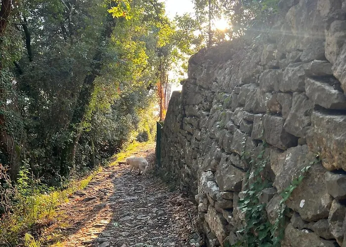 La Casina Fra Gli Oleandri Apartament *