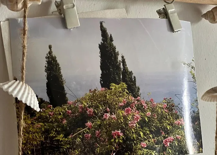 La Casina Fra Gli Oleandri * Zanego